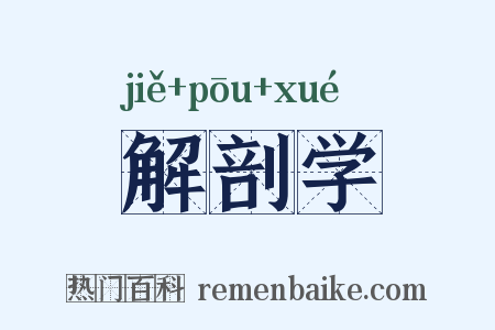 解剖学是什么意思的图片